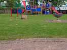 Childrens park