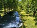 Park the car at the end of the row then camp up the row wherever you please