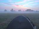 Barley fields morning