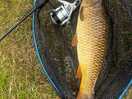 Great fishing lakes
