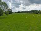 Local fields at aldwark near alne
