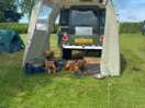 Our two dogs enjoying their stay. they loved the dog walking area. our son loved the fishing lake .