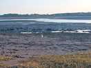 Estuary