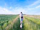 Lovely dog walks