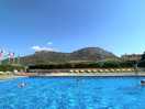 The pool