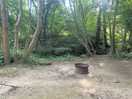 Woodland tent site
