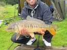 Great pond great fish