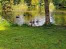 Hoort bij de camping
