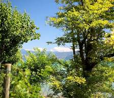 Campings voor tenten in Peschiera del Garda