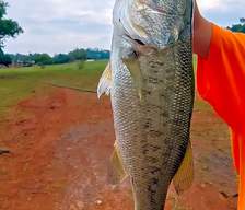 Campsites with fishing South Africa