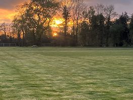 Great sunset