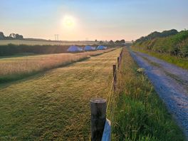 Camping area marshwood farm.