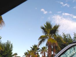 Ein ausblick aus dem zelt