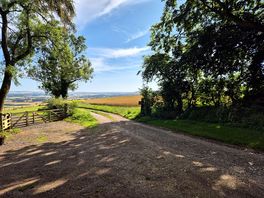 Scenary