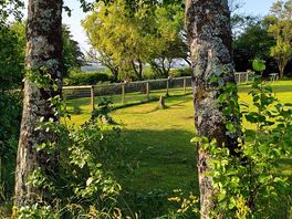 Great off lead dog area