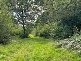 Burnt wood crossing