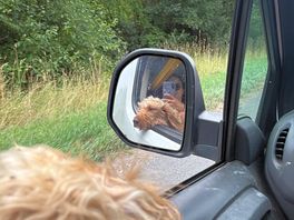 Home time