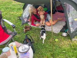 Doggie heaven