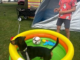 My puppy loved using our little paddling pool on the hot days