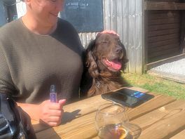 Very dog friendly