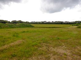 Grass for the motorhomes