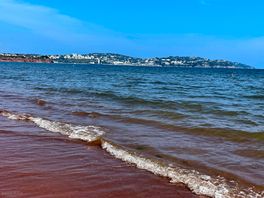 Dawlish beach