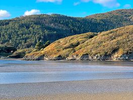 On the estuary