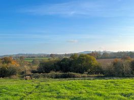 Walk in the country