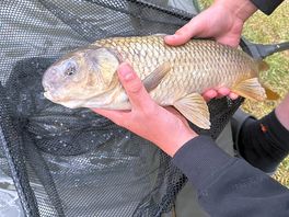 Funny looking fish