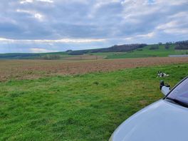 Landschaft