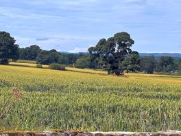 Walks nearby