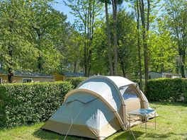 Shaded tent pitch
