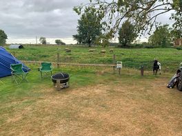 Goats and sheep just relaxing next to our pitch.