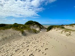 The dunes