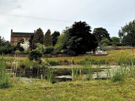 Cute pond