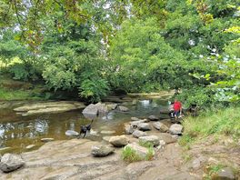 Riverbank walk to high bentham