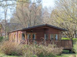 Lodge among the trees
