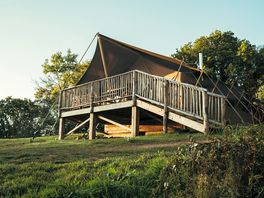 Foxes Earth exterior