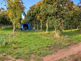 The site
