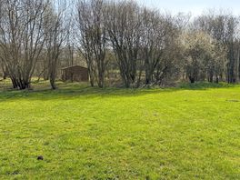 Centrepoint pitch, flanked by trees