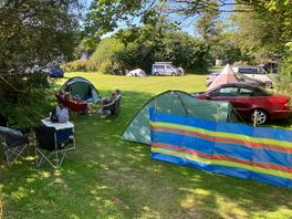 Camp 🏕️ in the shade