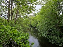River 1
