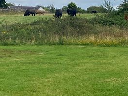 Neighbours