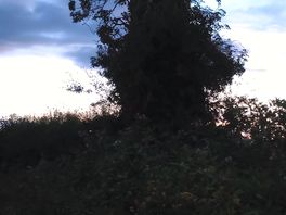 Dusk