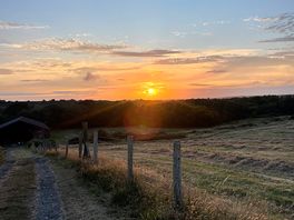 Lovely walks around campsite