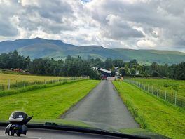 View leading to the camp
