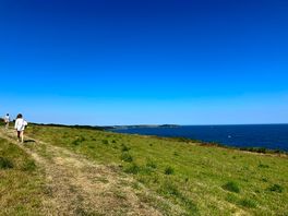 The field to camp in