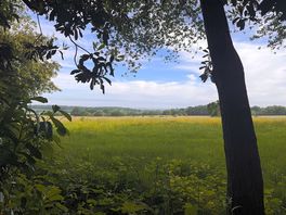Woodland