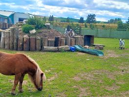 More resident animals
