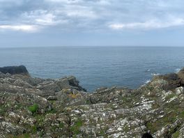Scenery